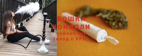 стаф Беломорск