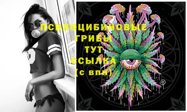 2c-b Белокуриха