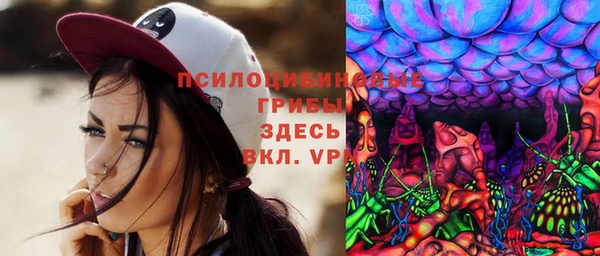 2c-b Белокуриха