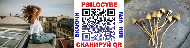 площадка наркотические препараты  Семикаракорск  Галлюциногенные грибы GOLDEN TEACHER  mega ТОР 